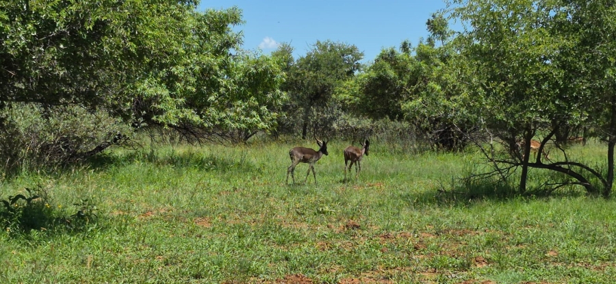 5 Bedroom Property for Sale in Rustenburg Rural North West